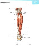 Sobotta  Atlas of Human Anatomy  Trunk, Viscera,Lower Limb Volume2 2006, page 338